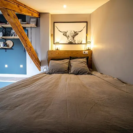 Le Cosy Rock / Rent4night Grenoble