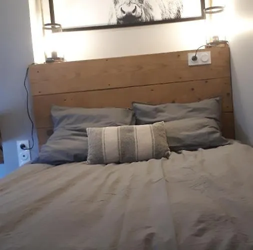 Le Cosy Rock / Rent4night *